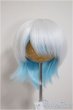 画像1: 7-8inch/ウィッグ/インチ　BJD　MJD　ドール用 A-25-10-08-175-NY-ZA (1)