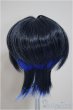 画像2: 8inch/ウィッグ/インチ　BJD　MJD　ドール用 A-25-10-08-176-NY-ZA (2)