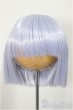 画像1: 8-9inch/ウィッグ/インチ　BJD　MJD　ドール用 A-25-10-08-112-NY-ZA (1)
