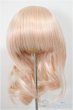 画像1: 8-9inch/ウィッグ/インチ　BJD　MJD　ドール用 A-25-10-08-113-NY-ZA (1)