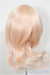 画像2: 8-9inch/ウィッグ/インチ　BJD　MJD　ドール用 A-25-10-08-113-NY-ZA (2)