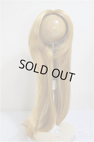 画像1: 9-10inch/ウィッグ/インチ　BJD　MJD　ドール用 A-25-10-08-194-NY-ZA (1)