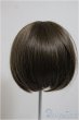 画像2: 8-9inch/ウィッグ/インチ　BJD　MJD　ドール用 A-25-10-08-196-NY-ZA (2)