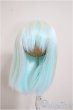画像1: 8-9inch/ウィッグ/インチ　BJD　MJD　ドール用 A-25-10-08-198-NY-ZA (1)