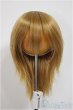 画像1: 6-7inch/ウィッグ　BJD　CROBI製/1/3　60ｃｍ　BJD　MJD　衣装　ドール用 A-25-10-08-311-NY-ZA (1)