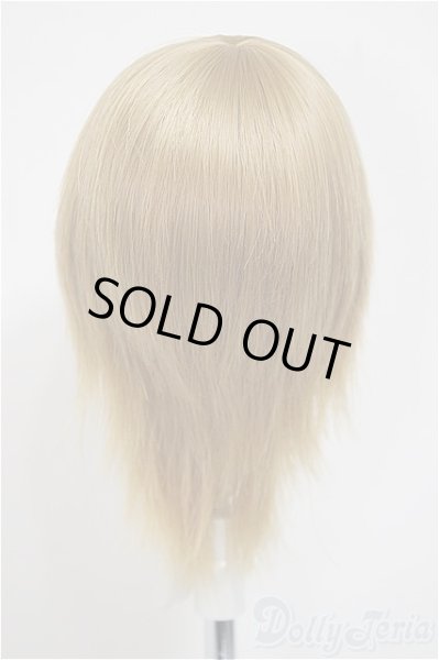 画像2: 6-7inch/ウィッグ　BJD　CROBI製/1/3　60ｃｍ　BJD　MJD　衣装　ドール用 A-25-10-08-311-NY-ZA (2)