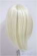 画像2: 9inch/ウィッグ/インチ　BJD　MJD　ドール用 A-25-10-08-460-NY-ZA (2)