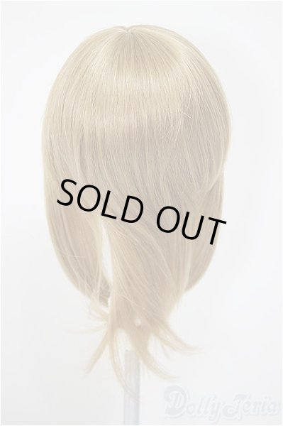 画像2: 7-8inch/ウィッグ/インチ　BJD　MJD　ドール用 A-25-10-08-366-NY-ZA (2)