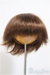 画像1: 6-7inch/ウィッグ/インチ　BJD　MJD　ドール用 A-25-10-08-549-NY-ZA (1)