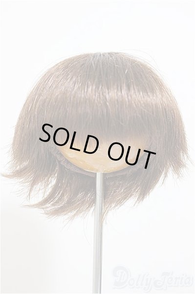 画像1: 6-7inch/ウィッグ/インチ　BJD　MJD　ドール用 A-25-10-08-549-NY-ZA (1)