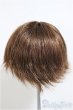 画像2: 6-7inch/ウィッグ/インチ　BJD　MJD　ドール用 A-25-10-08-549-NY-ZA (2)