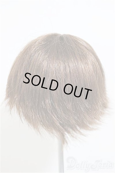 画像2: 6-7inch/ウィッグ/インチ　BJD　MJD　ドール用 A-25-10-08-549-NY-ZA (2)