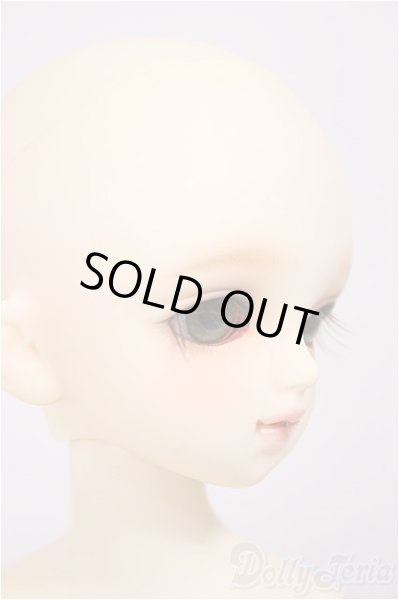 画像3: MSDGIRL/コーディネイトモデルF-29/BJD　球体関節人形 A-25-10-22-184-NY-ZA (3)
