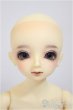 画像2: MSDGIRL/コーディネイトモデルF-18/BJD　球体関節人形 A-25-10-22-183-NY-ZA (2)