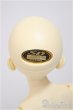 画像5: MSDGIRL/コーディネイトモデルF-18/BJD　球体関節人形 A-25-10-22-183-NY-ZA (5)