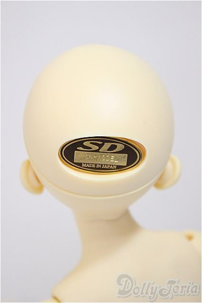 画像5: MSDGIRL/コーディネイトモデルF-29/BJD 球体関節人形 A-25-10-22-183-NY-ZA (5)
