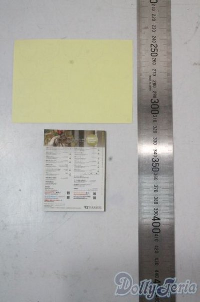 画像2: SD/豆本 U-25-10-21-198-NY-ZU (2)