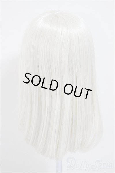 画像2: 8-9inch/ウィッグ/インチ　BJD　MJD　ドール用 A-25-10-15-173-NY-ZA (2)