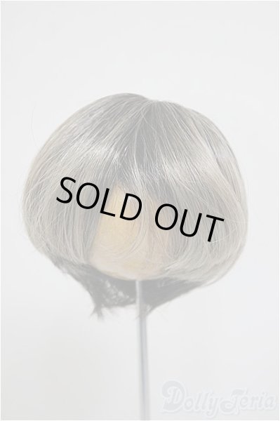 画像1: 8-9inch/ウィッグ A-25-10-15-302-NY-ZA (1)