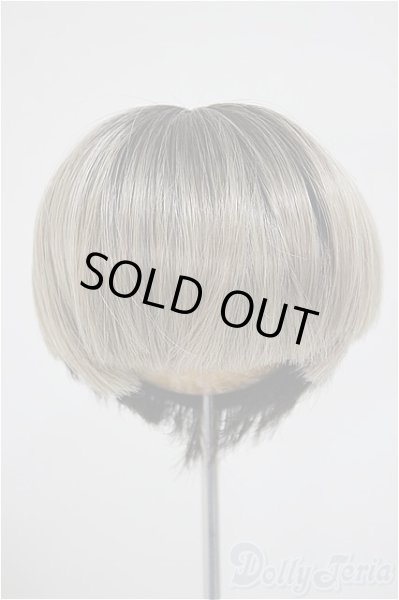 画像1: 8-9inch/ウィッグ A-25-10-15-301-NY-ZA (1)