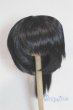 画像1: 8-9inch/ウィッグ/インチ　BJD　MJD　ドール用 A-25-10-22-044-NY-ZA (1)