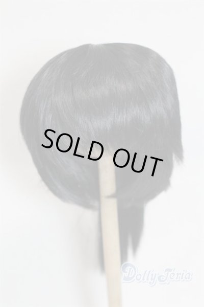 画像1: 8-9inch/ウィッグ/インチ　BJD　MJD　ドール用 A-25-10-22-044-NY-ZA (1)