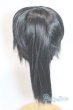 画像2: 8-9inch/ウィッグ/インチ　BJD　MJD　ドール用 A-25-10-22-044-NY-ZA (2)