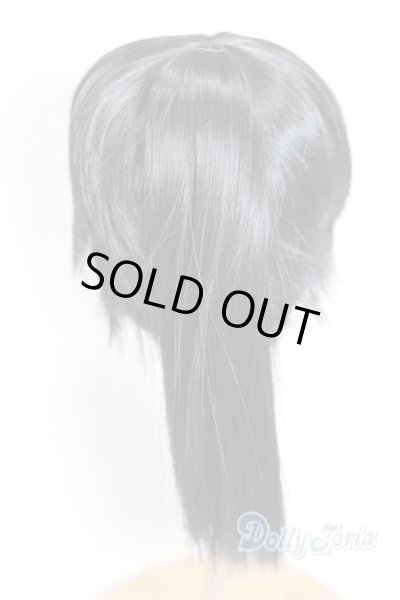 画像2: 8-9inch/ウィッグ/インチ　BJD　MJD　ドール用 A-25-10-22-044-NY-ZA (2)