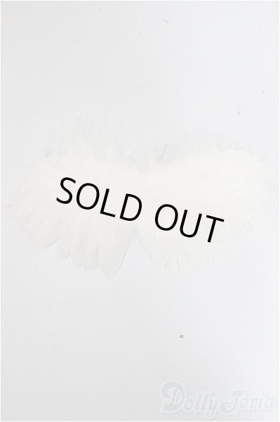 画像1: SDM＆MSD/OF:小物 A-25-10-15-261-NY-ZA (1)