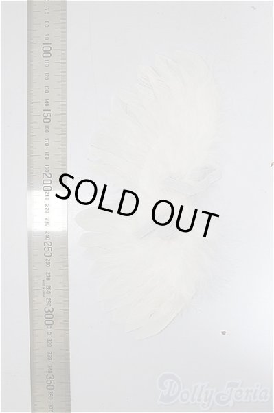 画像2: SDM＆MSD/OF:小物 A-25-10-15-261-NY-ZA (2)