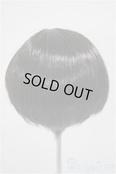 画像2: 8-9inch/ウィッグ A-25-10-15-255-NY-ZA (2)