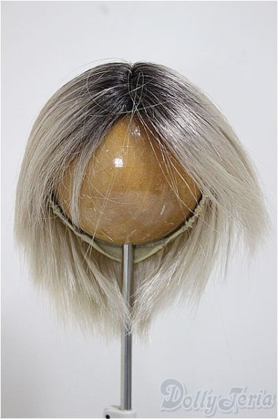 画像1: 9-10inch/ウィッグ/インチ　BJD　MJD　ドール用 A-25-10-22-151-NY-ZA (1)
