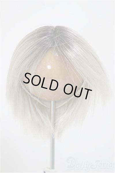 画像1: 9-10inch/ウィッグ/インチ　BJD　MJD　ドール用 A-25-10-22-151-NY-ZA (1)