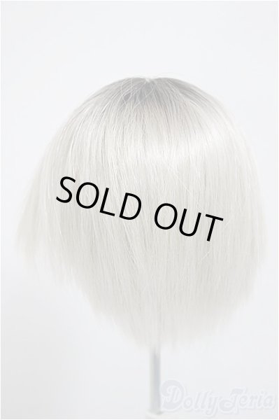 画像2: 9-10inch/ウィッグ/インチ　BJD　MJD　ドール用 A-25-10-22-151-NY-ZA (2)