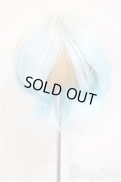 画像1: 8-9inch/ウィッグ/インチ　BJD　MJD　ドール用 A-25-10-22-208-NY-ZA (1)