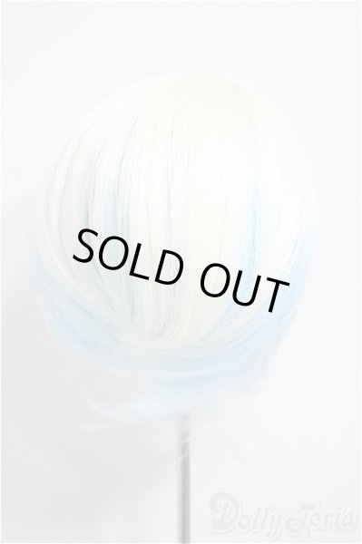 画像2: 8-9inch/ウィッグ/インチ　BJD　MJD　ドール用 A-25-10-22-208-NY-ZA (2)