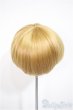 画像2: 7-8inch/ウィッグ/インチ　BJD　MJD　ドール用 A-25-10-22-306-NY-ZA (2)
