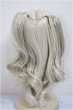 画像2: 9inch/ウィッグ DOLLCE/インチ　BJD　MJD　ドール用 A-25-10-29-232-NY-ZA (2)