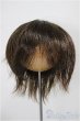 画像1: 8-9inch/ウィッグ/インチ　BJD　MJD　ドール用 A-25-10-29-204-NY-ZA (1)