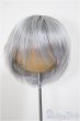 画像1: 8-9inch/ウィッグ/インチ　BJD　MJD　ドール用 A-25-11-05-178-NY-ZA (1)