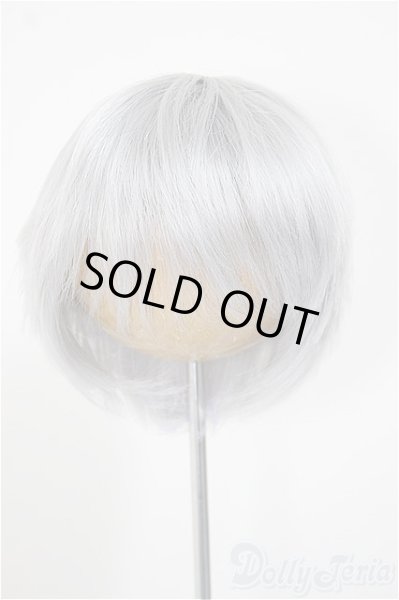 画像1: 8-9inch/ウィッグ/インチ　BJD　MJD　ドール用 A-25-11-05-178-NY-ZA (1)