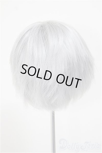 画像2: 8-9inch/ウィッグ/インチ　BJD　MJD　ドール用 A-25-11-05-178-NY-ZA (2)