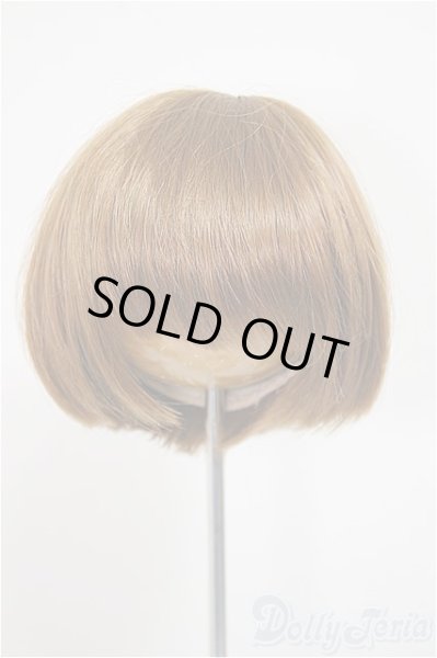 画像1: 8-9inch/ウィッグ/インチ　BJD　MJD　ドール用 A-25-11-05-174-NY-ZA (1)