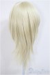 画像2: 8-9inch/ウィッグ/インチ　BJD　MJD　ドール用 A-25-11-05-175-NY-ZA (2)