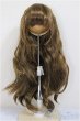 画像1: 8-9inch/ウィッグ/インチ　BJD　MJD　ドール用 A-25-11-05-183-NY-ZA (1)
