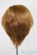 画像2: 8-9inch/ウィッグ/インチ　BJD　MJD　ドール用 A-25-11-05-173-NY-ZA (2)