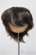 画像1: 8-9inch/ウィッグ/インチ　BJD　MJD　ドール用 A-25-11-05-185-NY-ZA (1)