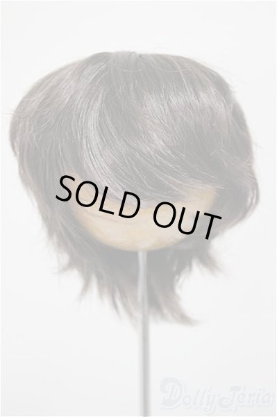 画像1: 8-9inch/ウィッグ/インチ　BJD　MJD　ドール用 A-25-11-05-185-NY-ZA (1)