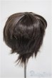 画像2: 8-9inch/ウィッグ/インチ　BJD　MJD　ドール用 A-25-11-05-185-NY-ZA (2)