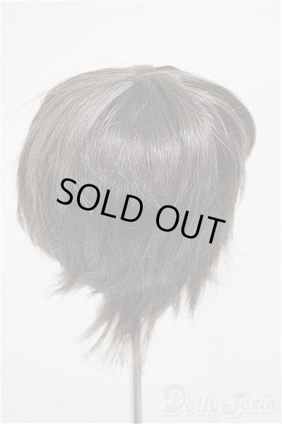 画像2: 8-9inch/ウィッグ/インチ　BJD　MJD　ドール用 A-25-11-05-185-NY-ZA (2)